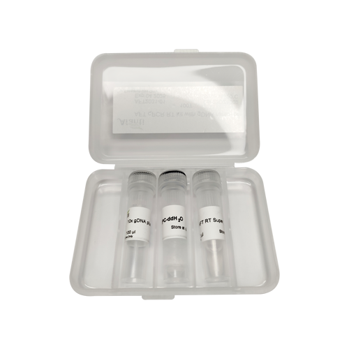 AFT qPCR RT kit with gDNA remover（最便捷反转录试剂盒含gDNA去除剂）