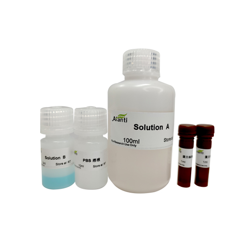 AFT  BCA Protein Assay kit（BCA蛋白定量试剂盒）