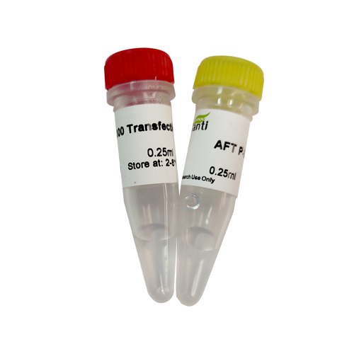 AFT Lipo3000 Transfection Reagent （完全替代life的lipo3000）