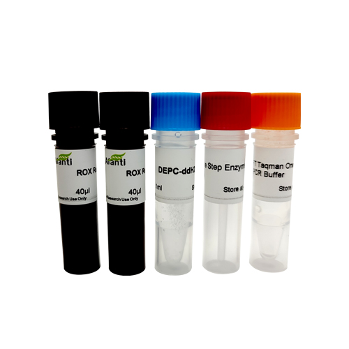 AFT One-Step qRT-PCR kit (Sybrgreen)（一步法染料法荧光定量试剂盒）