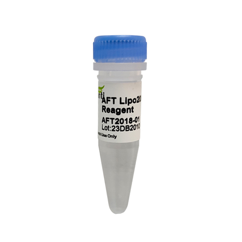 AFT  Lipo2000 Transfection Reagent （完全替代life的lipo2000）